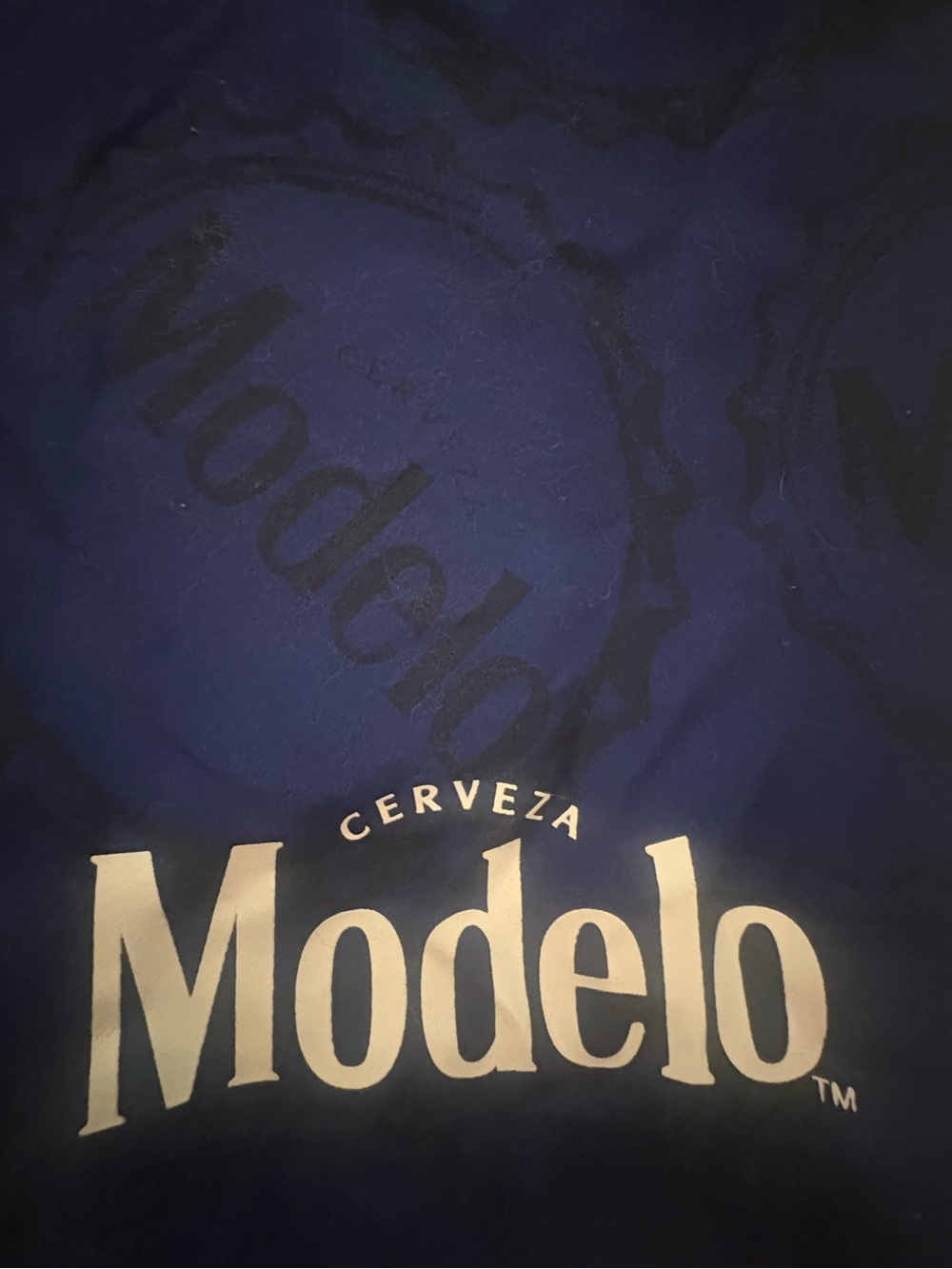 Modelo Navy Swim Board Shorts with White Logo - Picture 3 of 5